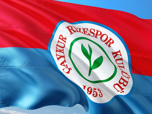 的智慧和危 的智慧和危