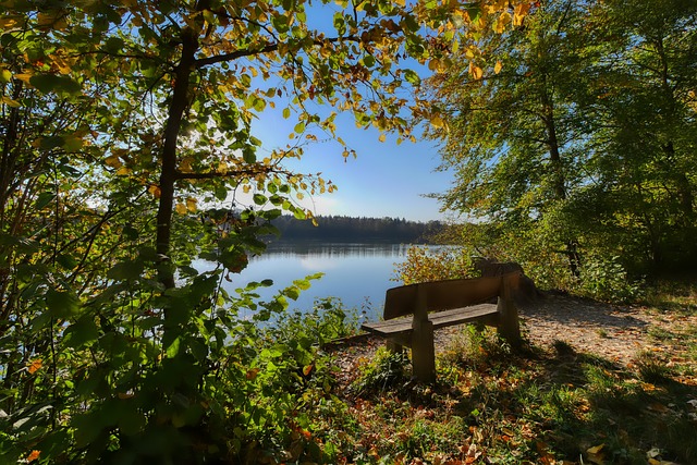 一个显著标 一个显著标