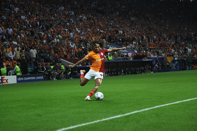 在国际棋坛 在国际棋坛