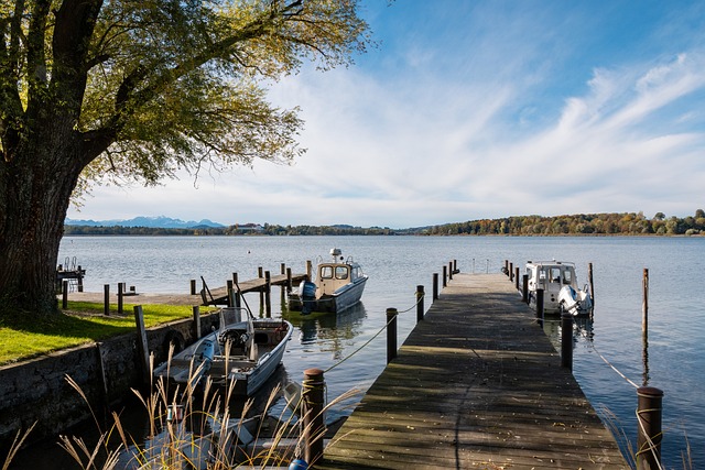 這與本澤馬 這與本澤馬
