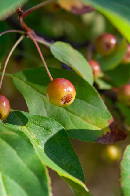 中国队的实 中国队的实