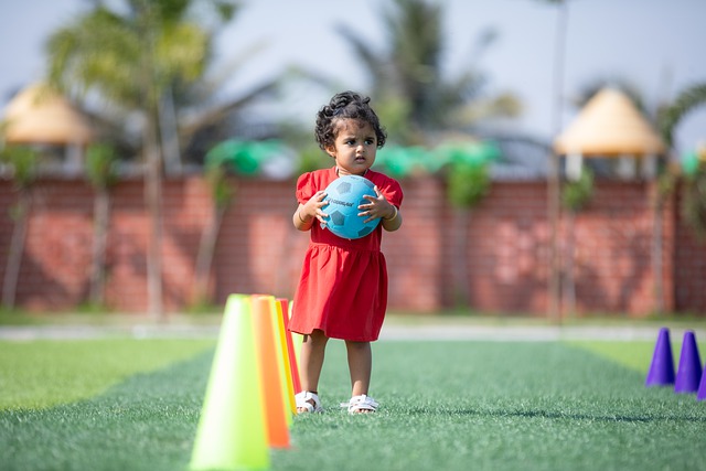 葡萄牙國內 葡萄牙國內