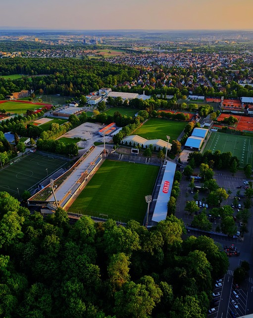 尽管阿仙奴 尽管阿仙奴