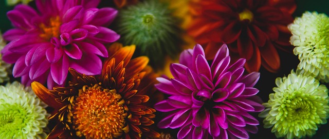 2023女足世界杯小組賽日本4-0西班牙 日本女足3戰全勝強勢挺進淘汰賽.