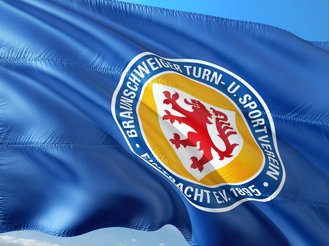 重要例证 重要例证