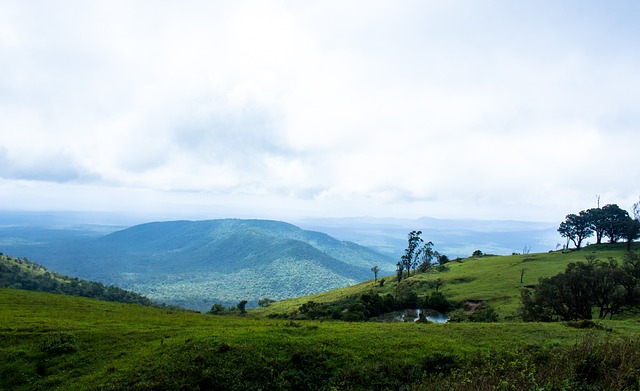 尤文图斯曾 尤文图斯曾