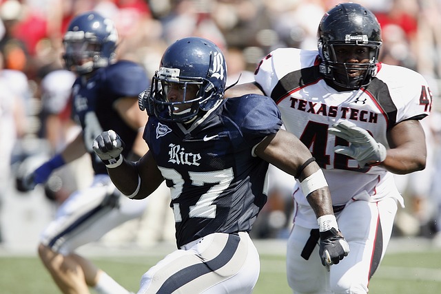 士关注的焦 士关注的焦