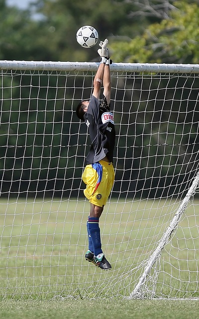 员的天赋有 员的天赋有